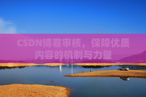 CSDN博客审核,保障优质内容的机制与力量